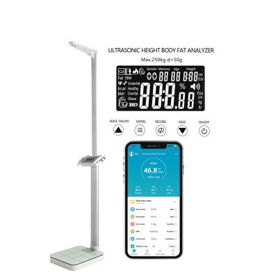 China ABS Adult Body Health Analyzer Weight Height BMI Testing Machine Digital Scale with Height Measurement and BMI for sale