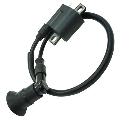 China Bike Accessories Motorcycle WY50QT-7A LJ50QT 1E40QMB JOG90 3KJ Motorcycle Ignition Coil Standard Size for sale