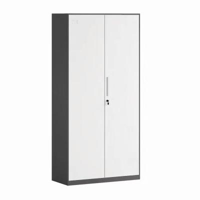 China (Others) Wholesale Price Adjustable Metal Filing Cabinets Office 2 Door Metal Storage Cabinets With Movable 3 Shelf for sale