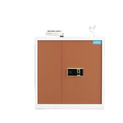 China (Other) adjustable thickened confidential filing cabinet for the Ministry of the Interior iron door color 2 the double for sale