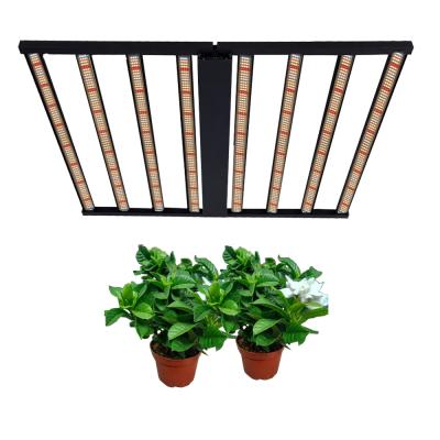 China Microgreen Seed Starting Growing System Dimmable 640w Bestrip 8bar LED Grow Lights for sale