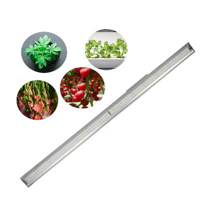 China Seed Starting 2021 Indoor Grow Waterproof LED 100w LM301h LED Full Spectrum For Growing Light for sale