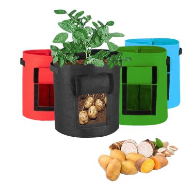 China High Strength High Strength Fabric Grow Pots 5 Gallon 7 Gallon 10 Gallon Durable Potato Grow Bag With Multiple Colors for sale