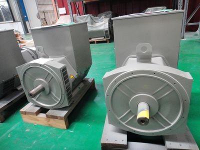 China Double Bearing Single Phase Alternator for sale