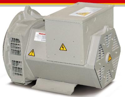 China AVR alternador 16kw/20kva sem escova trifásico de SX460 para o grupo de gerador à venda