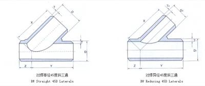 China BW Reducing 45° Laterals for sale