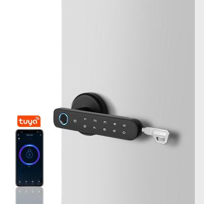 China 2021 apartment smart wifi fingerprint door locks with tuya app for home for sale