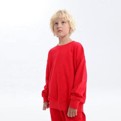 China Winter Children's Clothing Boys Sweatshirts 320gsm Custom 100 Cotton Oversized Heavy Hoodie Anti-Shrink for sale