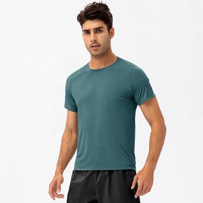 China Sport Mens Anti-Wrinkle Apparel Manufacturers Workout Gym Empty T-shirt No Label Fitness Dry T-shirts for sale