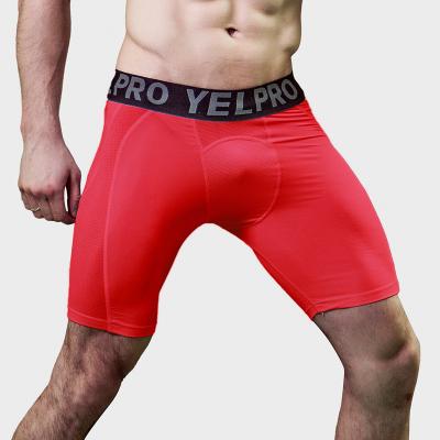 China QUICK DRY High Quality Mens Gym Shorts With Pink Custom Uniform Mesh Tights Men Set for sale