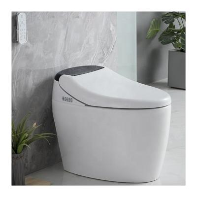 China Modern Bathroom Floor Toilet Smart Toilet Set With Bidet Floor Mount Floor Mount Smart Toilet for sale