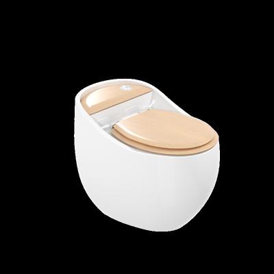 China Modern Double-Flow Shape Toilet Egg Watercloset Fashion Design Floor-Standing Toilet for sale