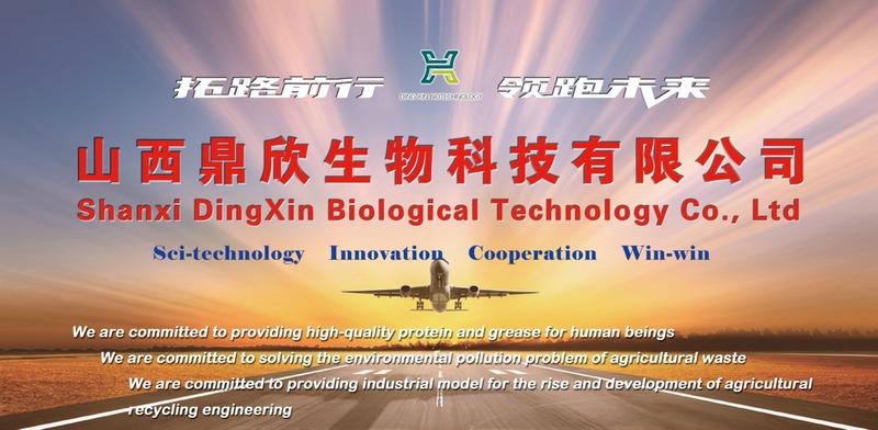 Verified China supplier - Shanxi Dingxin Biotechnology Co., Ltd.