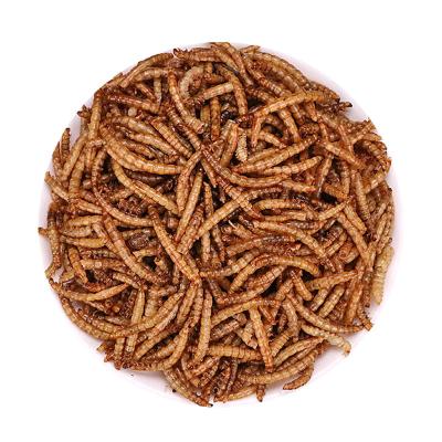 China Skin & Coat Health Factory Supply 100% Non GMO Dried Mealworm For Animal At Competitive Price for sale