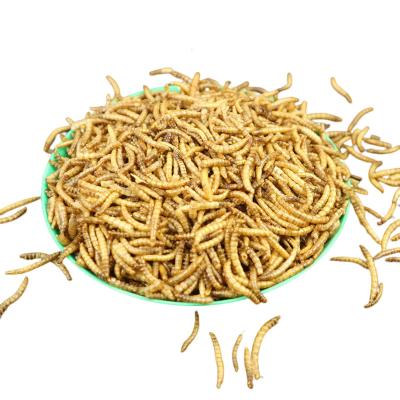 China Skin & Coat Health Pet Food High Quality High Protein Dry Mealworm For Small Animals Dog Food for sale