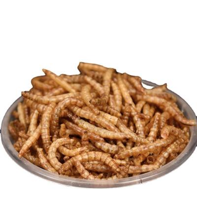 China Skin & Coat Health Plant Cost Price Nutritious Edible Dry Mealworm For Food And Pet Feeding for sale