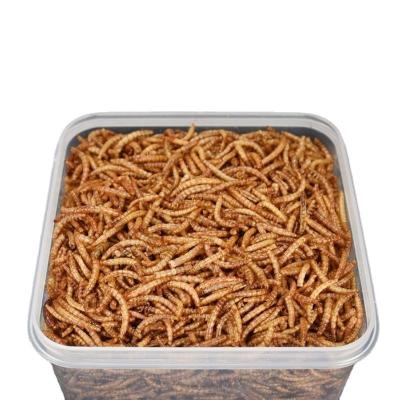 China Health 100% Digestive Natural Pet Fish Bird Feeding Mealworm Dry With High Protein High Quality for sale