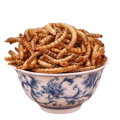 China Skin & Coat Health Fully Stored Dried Mealworms With Top Grade High Nutrition Small Animal Foods for sale