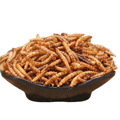 China Digestive health animal feed high quality dry mealworm for cat food for sale