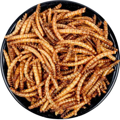 China High Quality Digestive Protein Animal Feed Health Natural Dry Mealworm For Dog Food Pet Feeding for sale