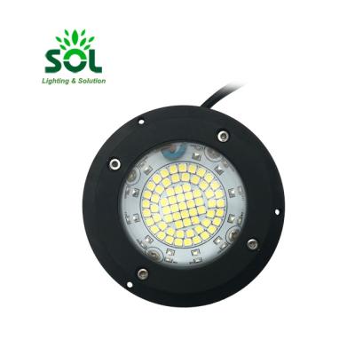 China Optional80W Round 3000K 6000K Modulos LED Highbay Light DC 12V 24V Spotlight Street Light / COB For Street Lamp for sale