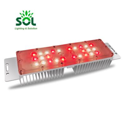 China Seed Starting COB 60W IP67 Waterproof DC Epistar LED Grow Light Full Spectrum For Vertical Agriculture for sale