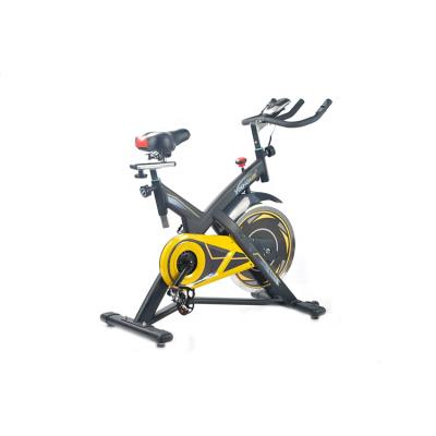 China Home Use Fashion Style Spinning Bike Blanket Gym Fit Exercise Body Spin Bike for sale