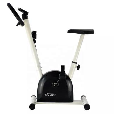 China Home Use Customized Fitness Exercise Equipment Bike For Beginner Using Ribbon Belt Manual Exercise Bike for sale