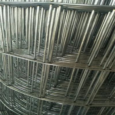 China Easily Assembled Hot Dipped Galvanized 1x1 Welded 1/4 Anping Wire Mesh for sale