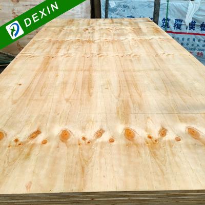 China Competitive Price Industrial Construction Grade 5/8 Pine CDX Plywood APA for sale