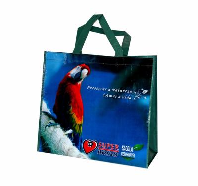 China Factory Eco - Friendly Recyclable Handled Laminated Non Woven Fruit PP Customer Bag for sale