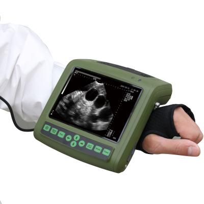 China Mini Dog Pregnancy Scan Machine Physiotherapy Portable Ultrasound zu verkaufen