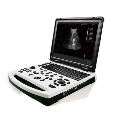 China B&W Veterinary Portable Ultrasound Scanner Wireless Ultrasound Scanner zu verkaufen