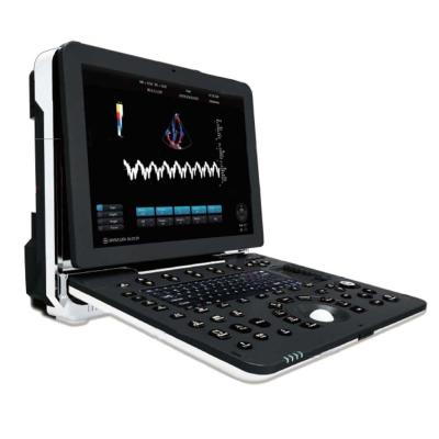 China Laptop Ultrasound Scanner Machine With 15 Inch Full View Display zu verkaufen