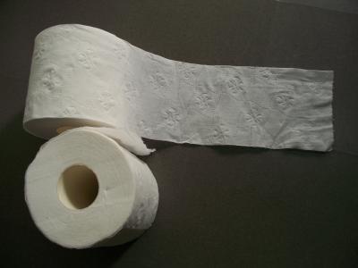 China Toilet Tissue roll for sale