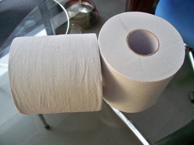 China embossed Toilet Tissue roll, bath tissue, toilet paper for sale