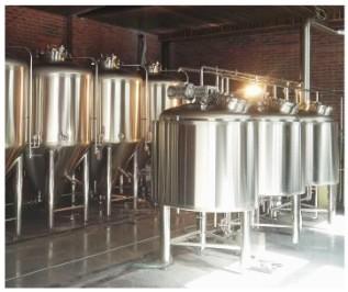 China SUS 304 Nano Brewery Equipment Craft Ale Brewing Equipment 220V CE Certification for sale