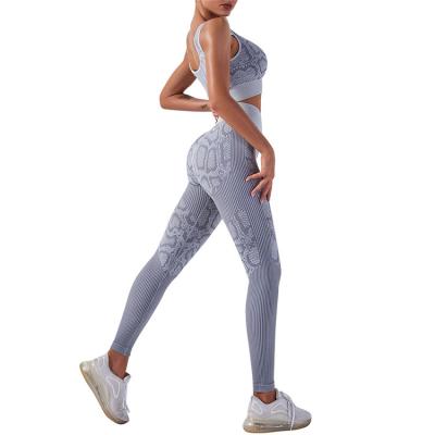 China New Listing Sets Tight Two Piece Set Snake Print Seamless Yoga Sets Fitness Women for sale