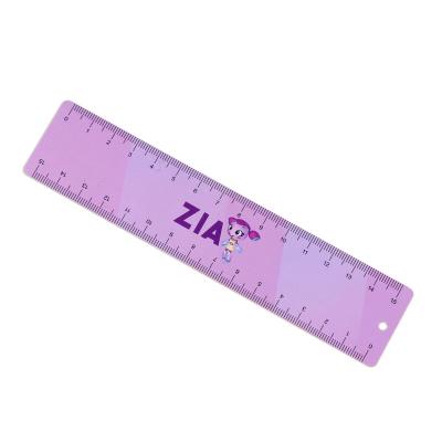 China Good Quality Wear Resistant Hot Selling Measuring Length Measuring Device Ruler Spirit Level for sale