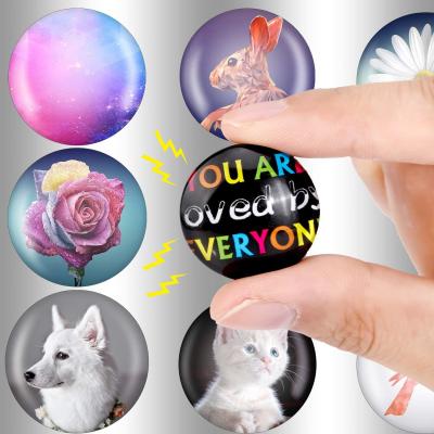 China DIY Crystal Glass Magnets Animal Set Circles Round Magnets Discs Sticker With Self Adhesive Back 25/35 mm or Custom Size for sale