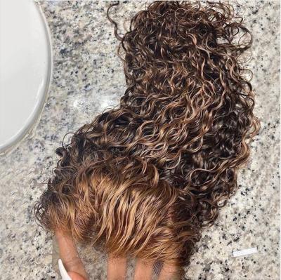 China Blonde Brown Curly Brazilian Curly Wig Body Wave Lace Front Wig Lace Front Wig Lace Front Wig for sale