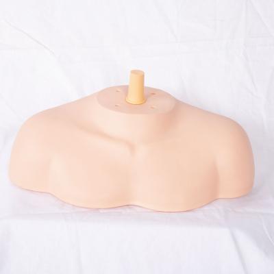 China Cosmetology Manikin Heads Hot Selling Training Head And Shoulder Care Salon Provides Good Helper For Hairdressers for sale