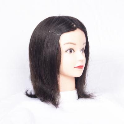 China Cosmetology Mannequin Head Hair Training Hot Selling Head Salon Supplies Human Body Training Model Head for sale