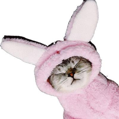 China Viable Funny Cat Clothes Kittens Pet Cute Autumn And Winter Clothes Halloween Costumes for sale