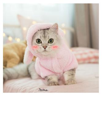 China Bear Ear Viable Cotton Pet Hoodie Velvet Fleece Thick Empty Pet Clothes Cute Coat For Cat Small Dog for sale