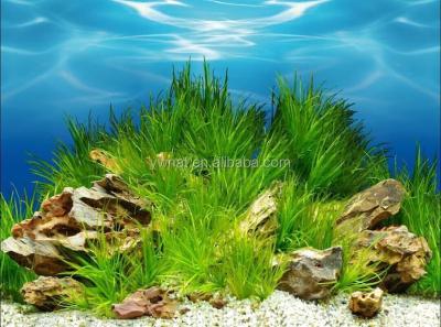 China Bottom Viable Waterproof Plastic Aquarium Fish Tank Painting Pictures for sale