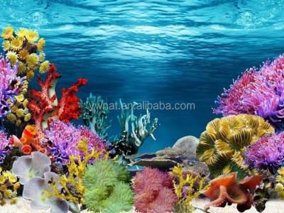 China Viable aquarium seashell painting images of Coral Ocean World Aquarium Background for sale