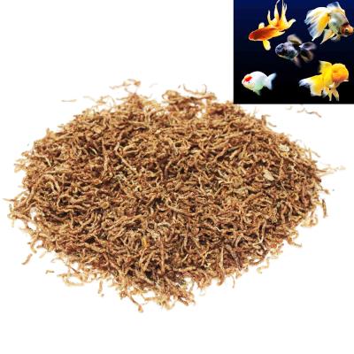 China Fresh Tropical Tetra Bloodworm Fish Disc Viable Freeze Dried Food Feeding, 100% Bloodworms for sale