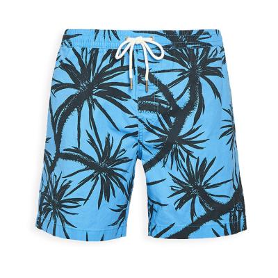 China Anti-Wrinkle Parride Committed Manufacturer Custom Made Fins Back Pocket Shorts Palm Print Contrast Waist Drawstring Swim Shorts for sale