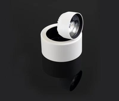 China Indoor Rotatable Home Hotel Outdoor Mounted Spot Light Black And White Recessed Led Ceiling Lamp for sale